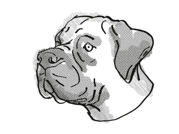 Retro Cartoon Style Drawing Head Boerboel Domestic Dog Canine Breed — Stock Photo, Image