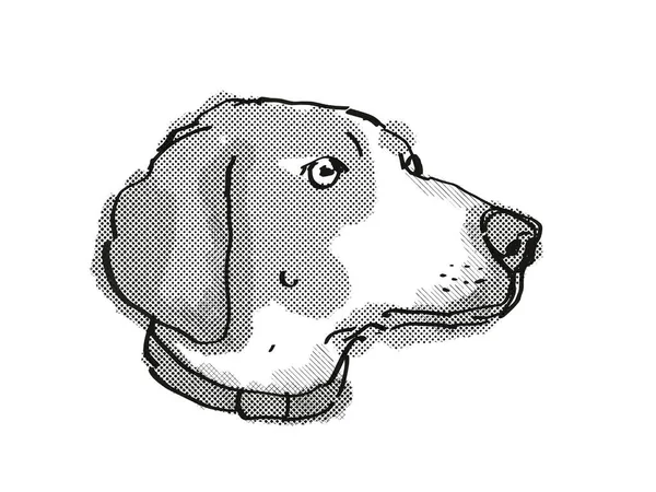 Boglen Terrierの頭のレトロな漫画スタイルの描画はまた BoggleやBoston Beagle Terrier 黒と白で行われた隔離された白い背景に国内犬や犬の品種と呼ばれる — ストック写真