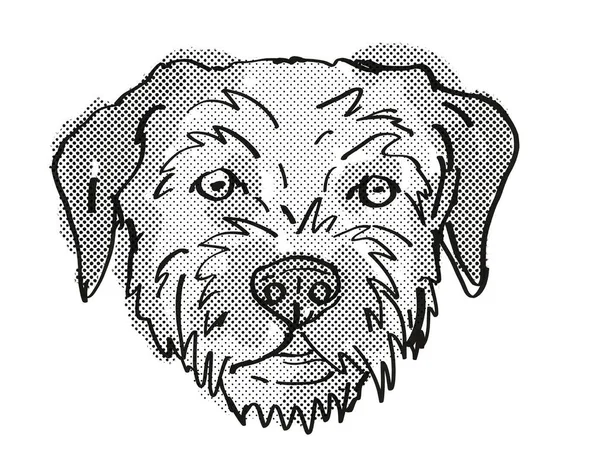Dessin Style Caricature Rétro Tête Border Terrier Chien Domestique Race — Photo