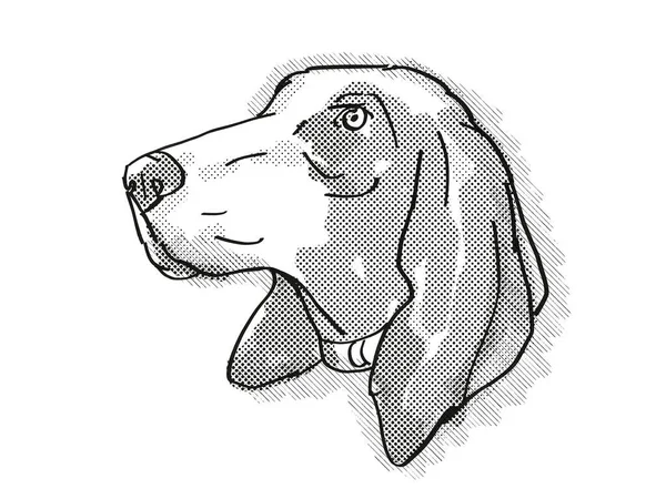 Dibujo Estilo Dibujos Animados Retro Cabeza Bracco Italiano Perro Doméstico —  Fotos de Stock