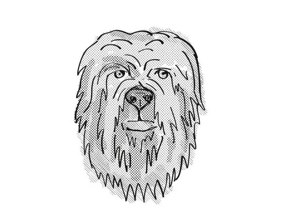 布里亚德犬 家养犬或犬种头像的复古卡通画 背景白色 黑白相间 — 图库照片