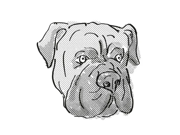 斗牛士犬或无声看门狗 家养犬或犬种头像的复古卡通画 背景白色 黑白相间 — 图库照片