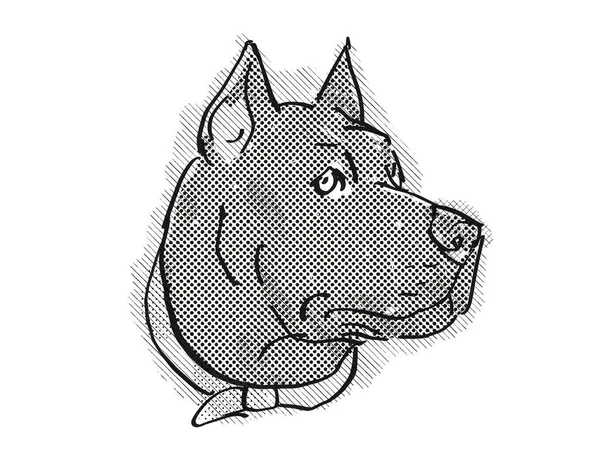 Desenho Desenho Animado Retro Estilo Cabeça Cana Corso Cão Doméstico — Fotografia de Stock