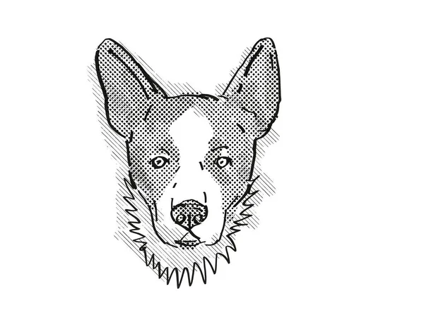 卡迪根威尔士科尔吉犬 家养犬或犬种头像的复古卡通画 背景为黑白相间 独立的白色背景 — 图库照片