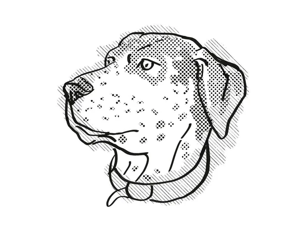 Retro Rysunek Stylu Kreskówki Głowy Catahoula Leopoard Pies Domowy Lub — Zdjęcie stockowe