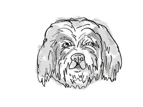 Dessin Style Caricature Rétro Tête Cavachon Chien Domestique Une Race — Photo