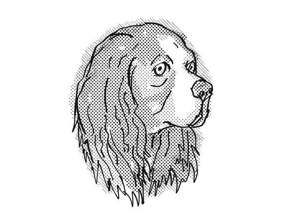 Dessin Style Caricature Rétro Tête Cavalier Roi Charles Spaniel Chien — Photo