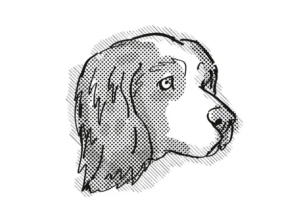 Dibujo Estilo Caricatura Retro Cabeza Clumber Spaniel Perro Doméstico Raza — Foto de Stock