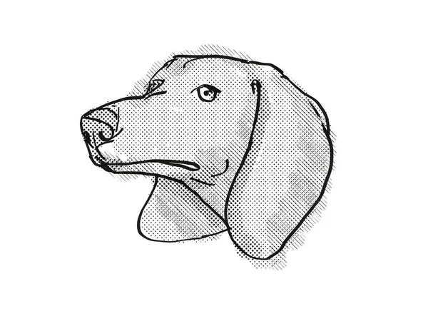 Retro Cartoon Style Drawing Head Dachshund Domestic Dog Canine Breed — Stock Photo, Image