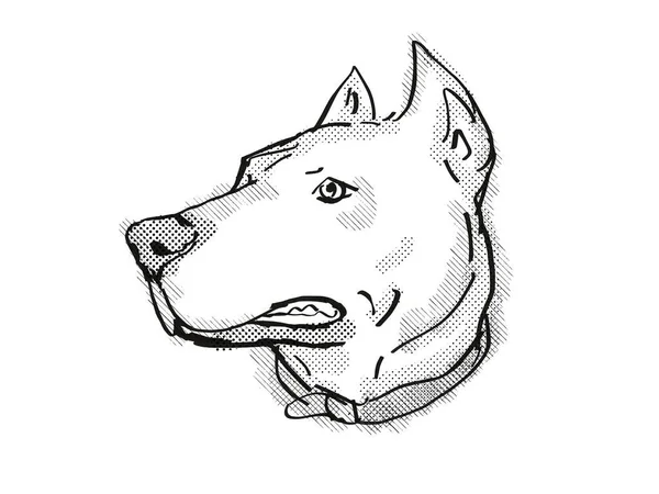 Retro Cartoon Style Drawing Head Dogo Argentino Sometimes Called Argentinian — Stock Photo, Image