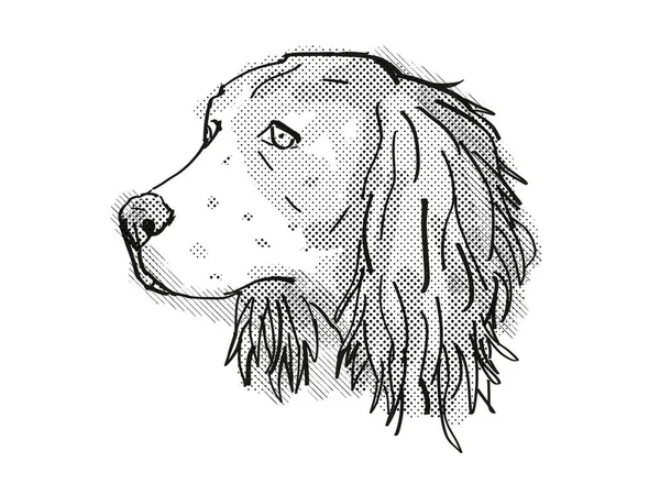 黒と白で行われた隔離された白い背景に英語のスプリンガー スパニエル 国内犬や犬の品種の頭のレトロな漫画スタイルの描画 — ストック写真