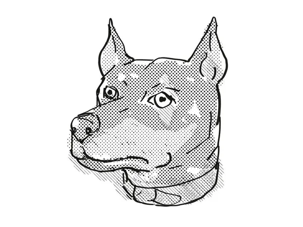 Retro Cartoon Style Drawing Head German Pinscher Domestic Dog Canine — Stock Photo, Image
