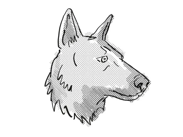 Retro Cartoon Style Drawing Head German Shepherd Domestic Dog Canine — Stock Photo, Image