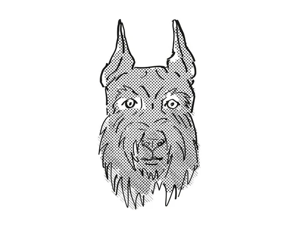 Retro Rysunek Stylu Kreskówki Głowy Sznaucera Giganta Pies Domowy Lub — Zdjęcie stockowe