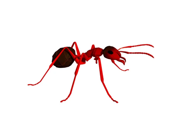 Hormigas Del Bosque Marrón Buscan Comida Suelo Del Bosque — Foto de Stock