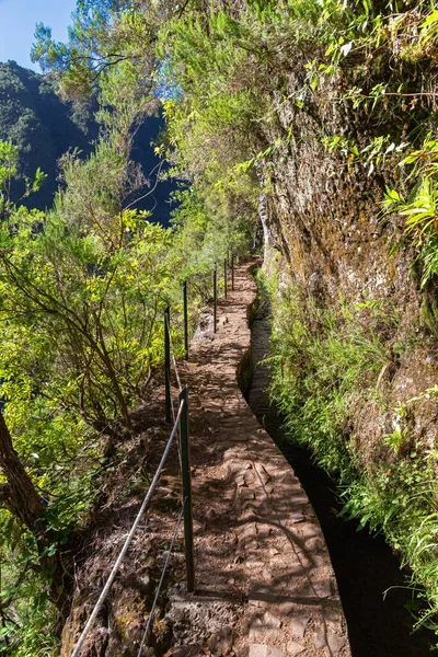 Sendero Caldeirao Verde Madeira Portugal — Foto de Stock