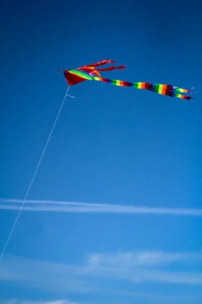 Una Cometa Voladora Cielo Niños Adultos Disfrutan Esta Actividad Ocio — Foto de Stock