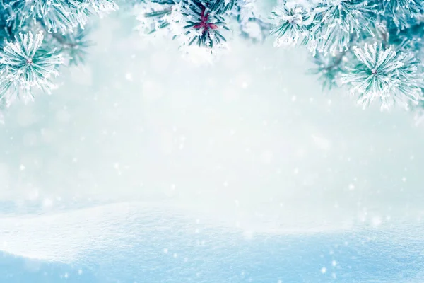 Zimní Zázemí Sněhem Jedlovými Větvemi — Stock fotografie