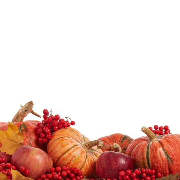 Праздничный Осенний Натюрморт Тыквами Красными Яблоками Ягодами Листьями Светлом Деревянном — стоковое фото