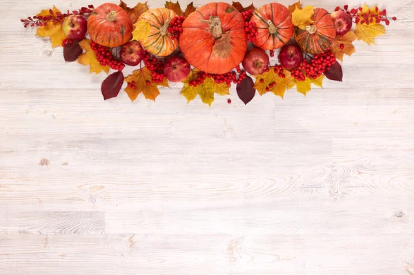 秋季背景与多彩的树叶和南瓜 — 图库照片
