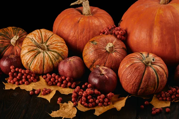 Bodegón Festivo Otoño Con Calabazas Manzanas Rojas Bayas Hojas Sobre — Foto de Stock