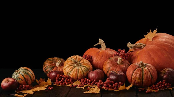 Bodegón Festivo Otoño Con Calabazas Manzanas Rojas Bayas Hojas Sobre — Foto de Stock