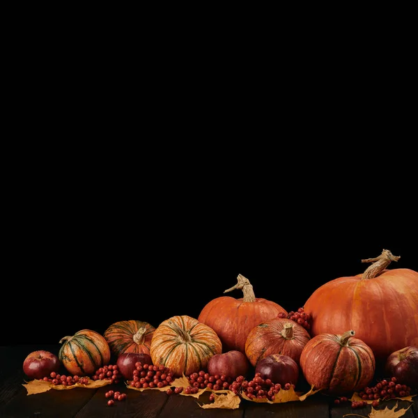 Праздничный Осенний Натюрморт Тыквами Красными Яблоками Ягодами Листьями Деревянном Столе — стоковое фото
