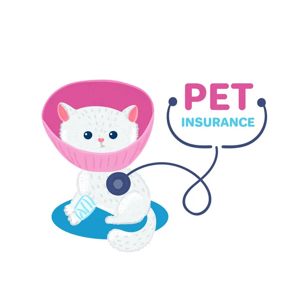 Seguro Mascotas Pequeño Gatito Blanco Lindo Collar Veterinario Rosa Con — Foto de Stock