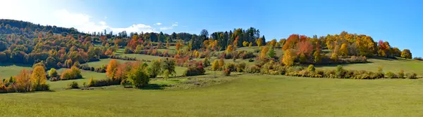 Podzimní Krajina Stromy Zelenou Trávou — Stock fotografie