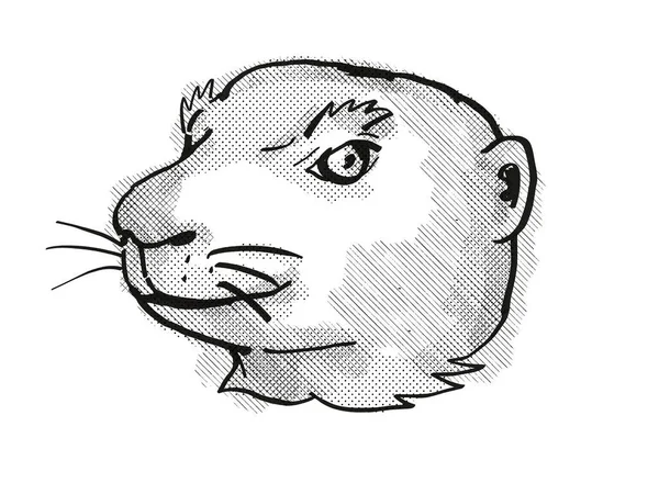 Dibujo Estilo Dibujos Animados Retro Cabeza Utah Prairie Dog Una —  Fotos de Stock