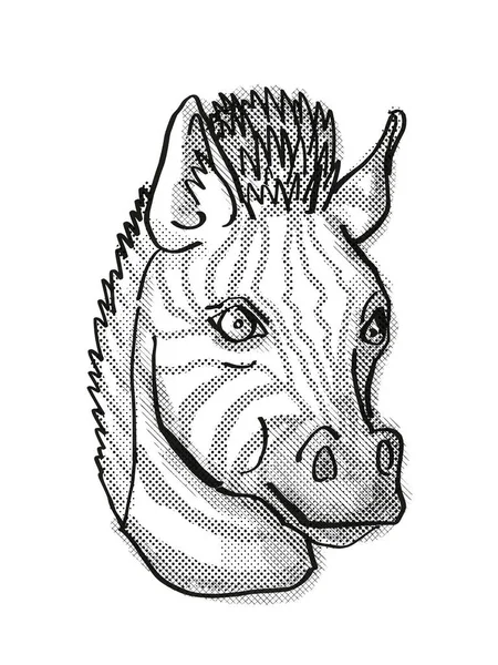 Retro Cartoon Stil Zeichnung Kopf Eines Zebras Von Vorne Betrachtet — Stockfoto
