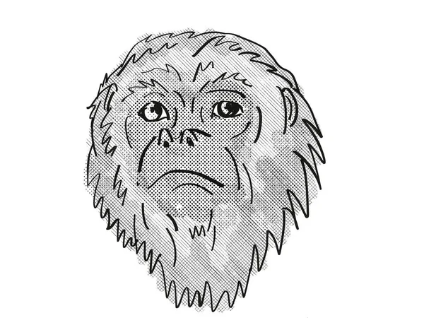 Retro Cartoon Style Drawing Head Yucatan Black Howler Monkey Primate — Stock Photo, Image