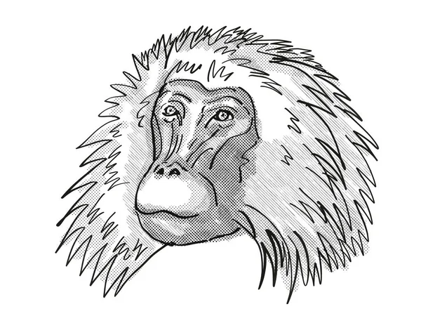 黒と白で行われた隔離された白い背景の上から見た猿の種 シュガージの男性Geladaのレトロな漫画スタイルの描画頭 — ストック写真