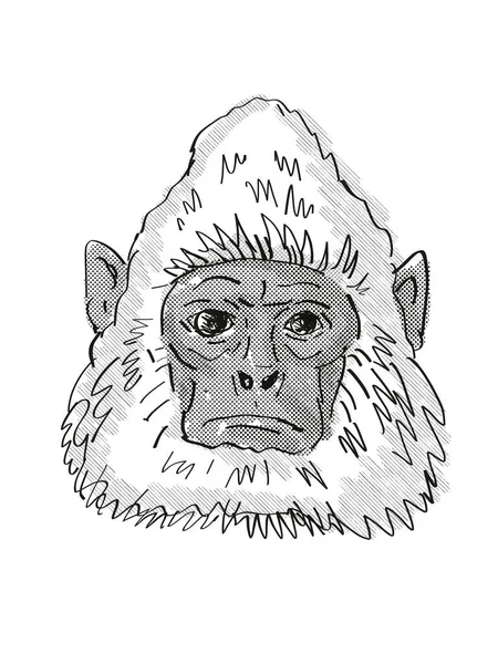 Retro Cartoon Style Drawing Head Sri Lankan Gray Langur Monkey — Stock Photo, Image