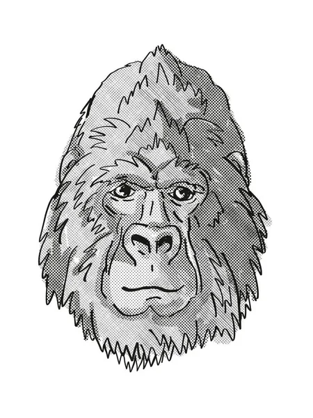 Desenho Retrô Estilo Cartoon Cabeça Silver Back Mountain Gorilla Uma — Fotografia de Stock