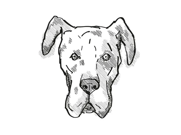 Dessin Style Caricature Rétro Tête Chien Harrier Une Race Canine — Photo