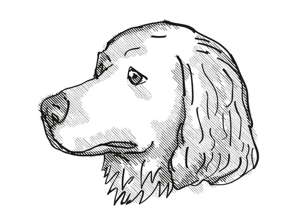 一种家养犬种哈丽尔犬头像的复古卡通画 背景为黑白相间 独立的白色背景 — 图库照片