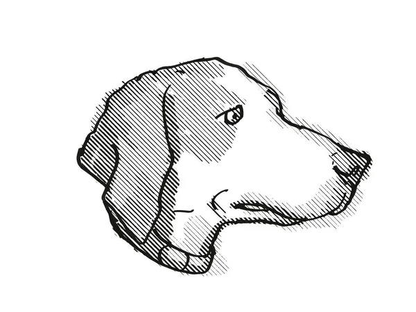 Retro Cartoon Style Drawing Head Harrier Dog Domestic Canine Breed — Stock Photo, Image