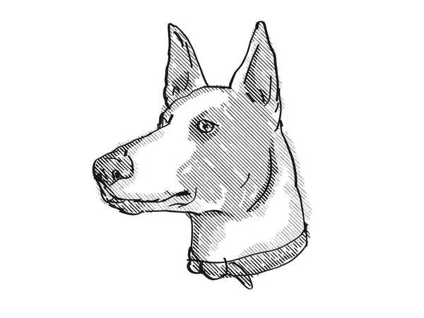 Retro Cartoon Style Drawing Head Harrier Dog Domestic Canine Breed — Stock Photo, Image