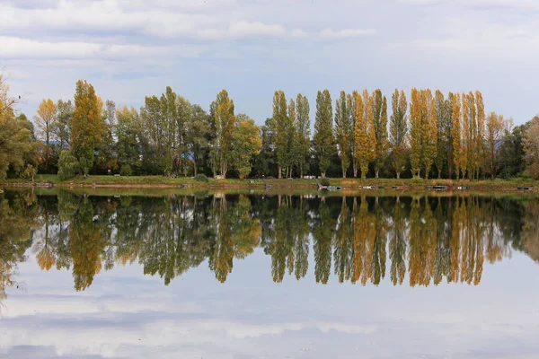 Mannheim Rohrhof Yakınlarındaki Suyun Kenarındaki Kavak Ağaçları — Stok fotoğraf