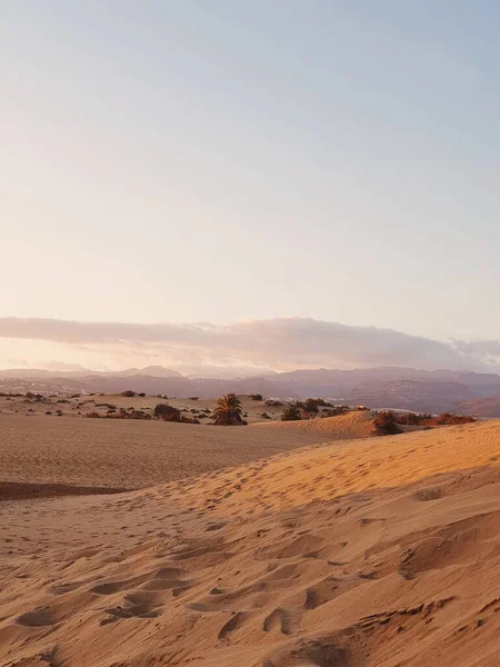 Wunderschöne Landschaft Der Negev Wüste Der Sahara Marokko — Stockfoto