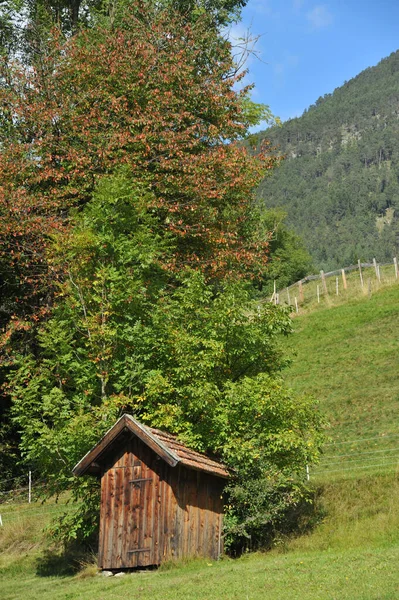 山の中の木造住宅 — ストック写真