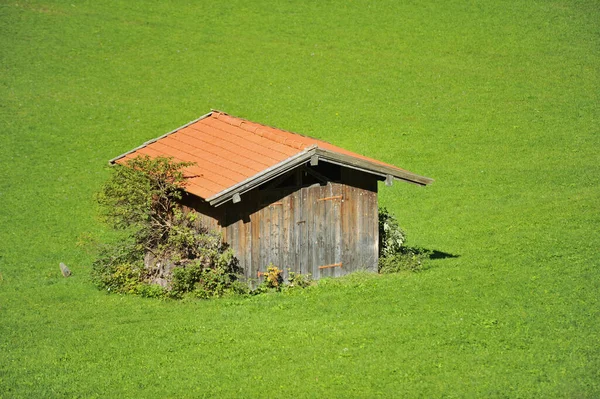 Mały Domek Zielonej Trawie — Zdjęcie stockowe