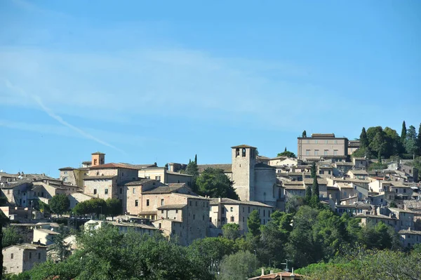 Utsikt Över Staden Siena Italien — Stockfoto