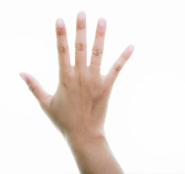 Mão Das Mãos Uma Mulher Mostrando Gesto Uma Fêmea Isolado — Fotografia de Stock
