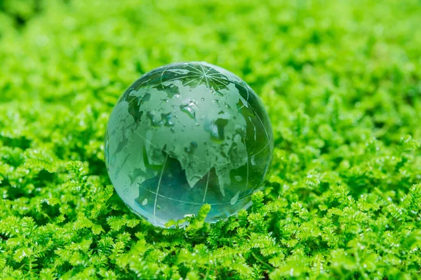 Yeşil Bir Küre Çimlerin Üzerinde Bir Top — Stok fotoğraf