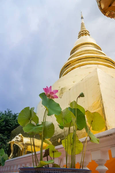 Wat Pra Singh Piękna Świątynia Chiang Mai Tajlandia Zdjęcie — Zdjęcie stockowe