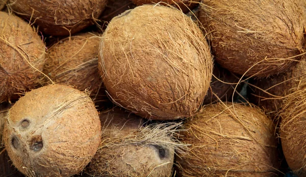 Många Kokosnötter Som Ligger Hög — Stockfoto
