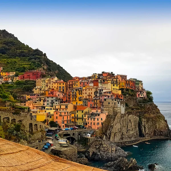 View Manarola Cinque Terre Feld — стоковое фото