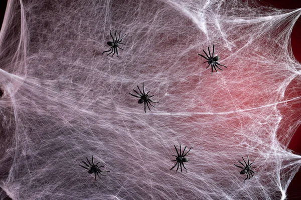 Gestrekt Wit Web Met Rode Achtergrondverlichting Zwarte Spinnen Achtergrond Voor — Stockfoto